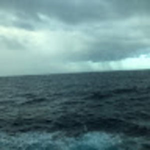 Meet your Posher, Carey